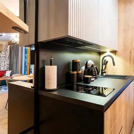 Apartment Pod Gorskim Niebem By Concept Podhale Koscielisko